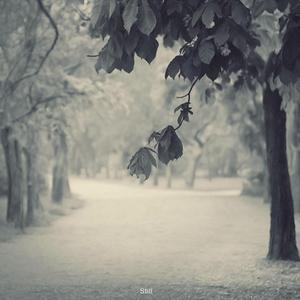 日本祼体拔萝卜视频
