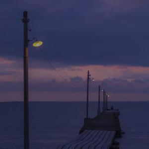 日本祼体拔萝卜视频
